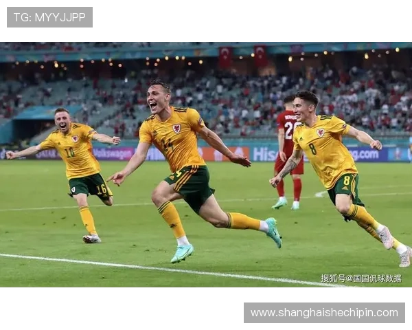 土耳其联赛欧冠（土耳其欧预赛战绩）sports